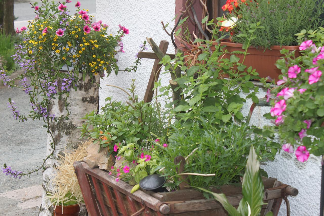 Pension Und Restaurant Die Burg Ehrenfriedersdorf Zewnętrze zdjęcie